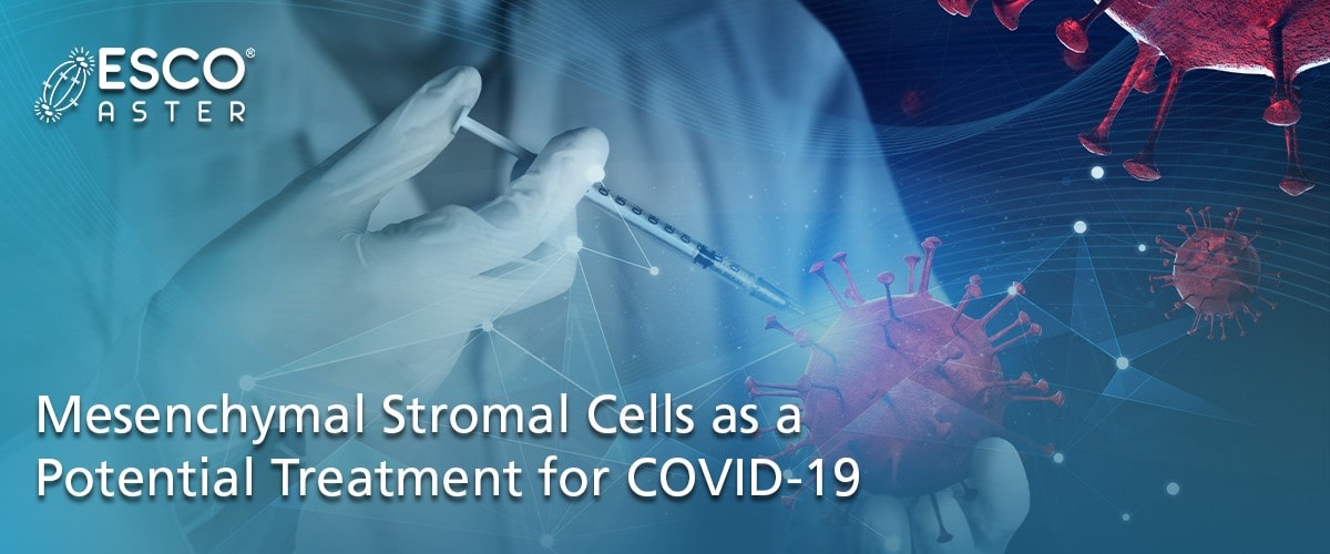 Mesenchymal Stromal Cells in the treatment of COVID-19 